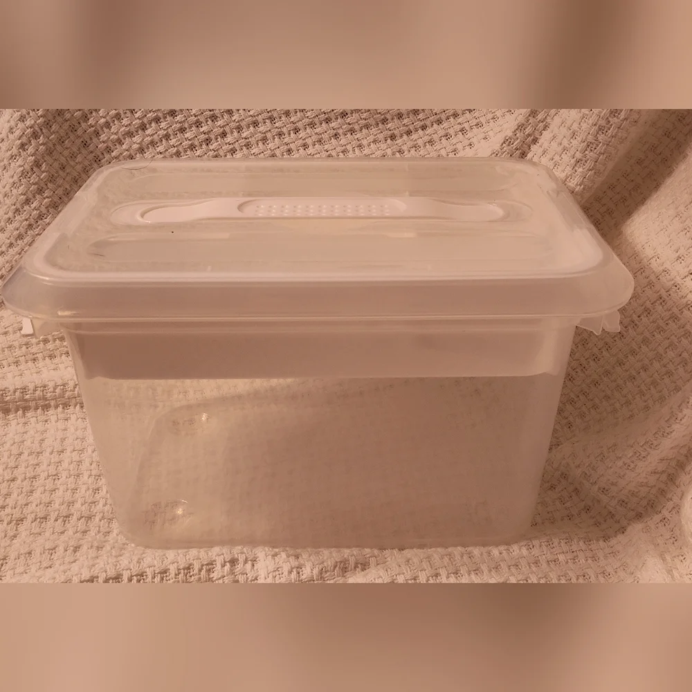 NWOT! Plastic Organizer Case